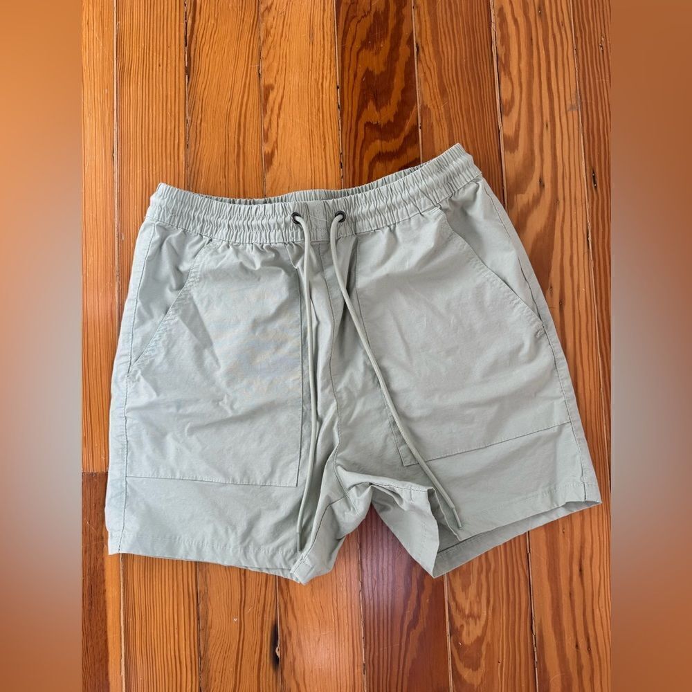 Pacsun Volley Shorts